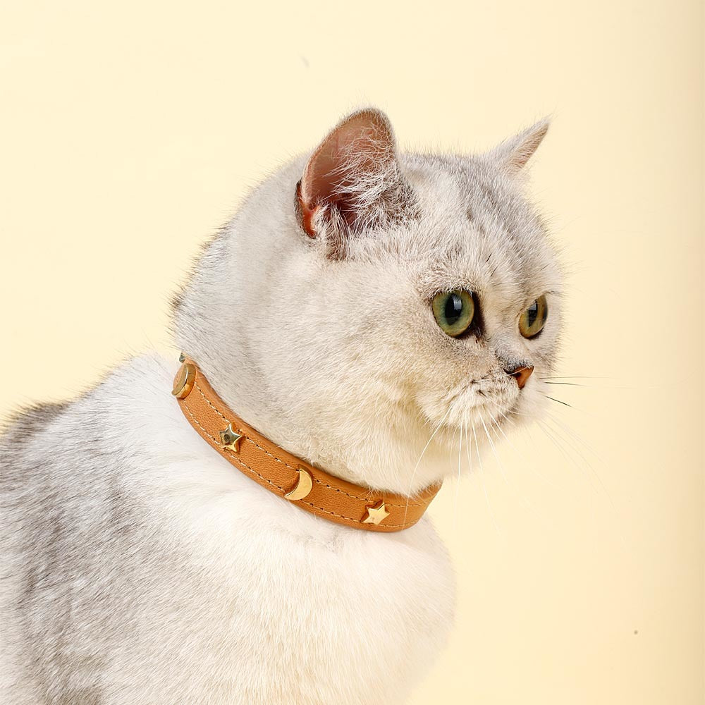 Collier Moon