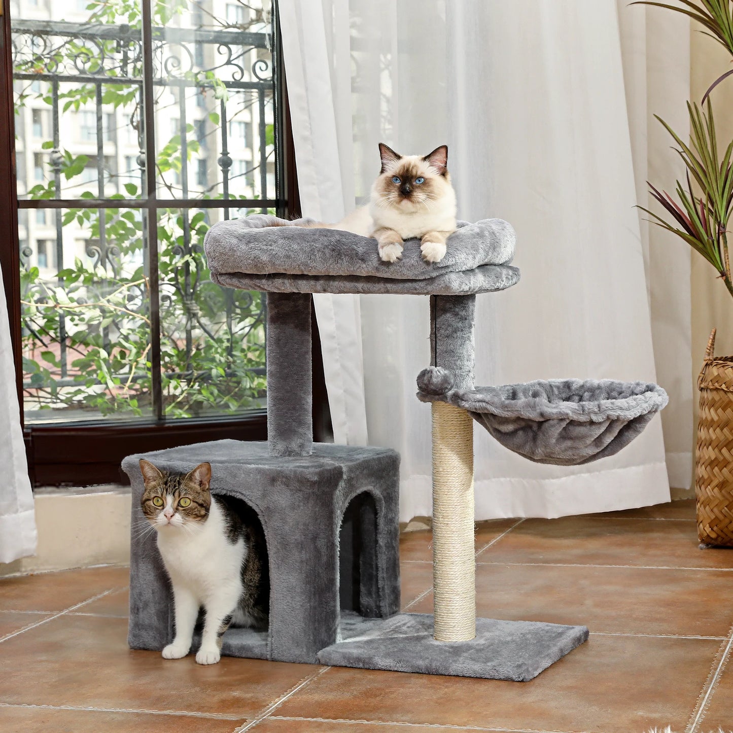 Petit arbre à chat