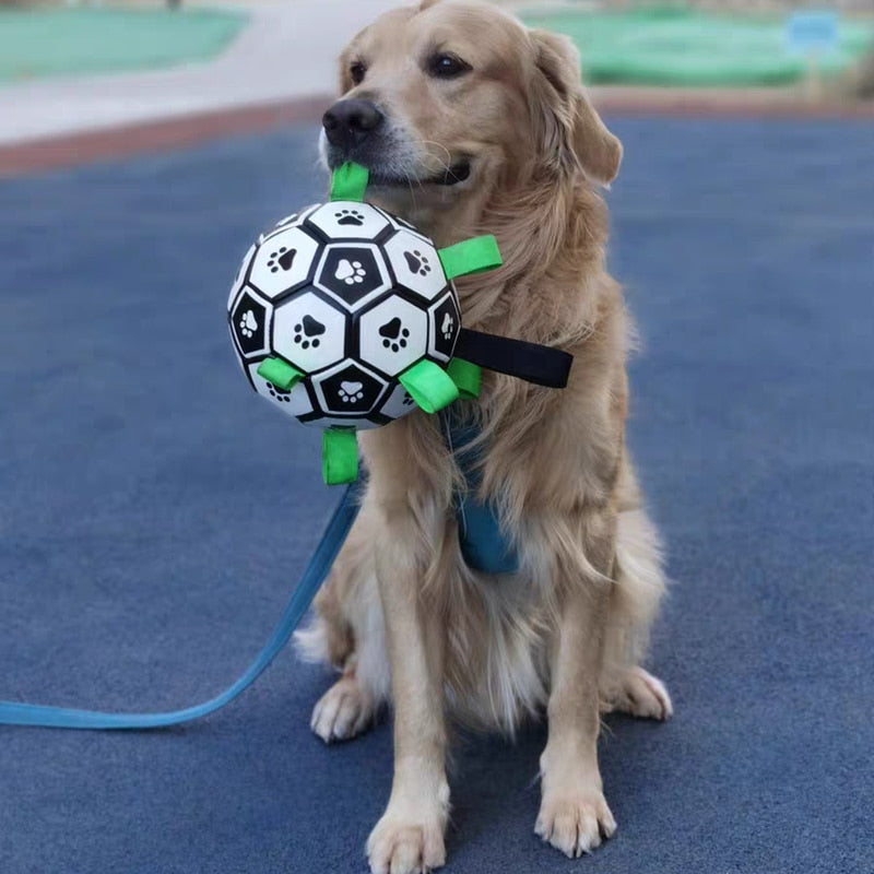 Ballon de Football