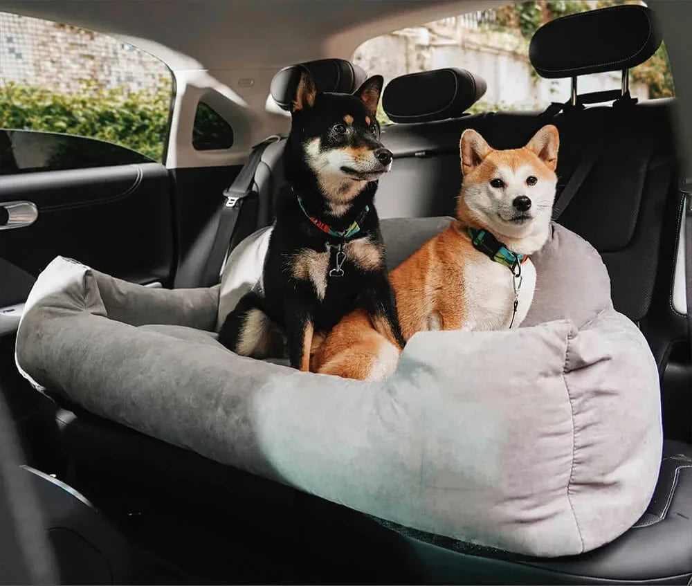 Car Sofa