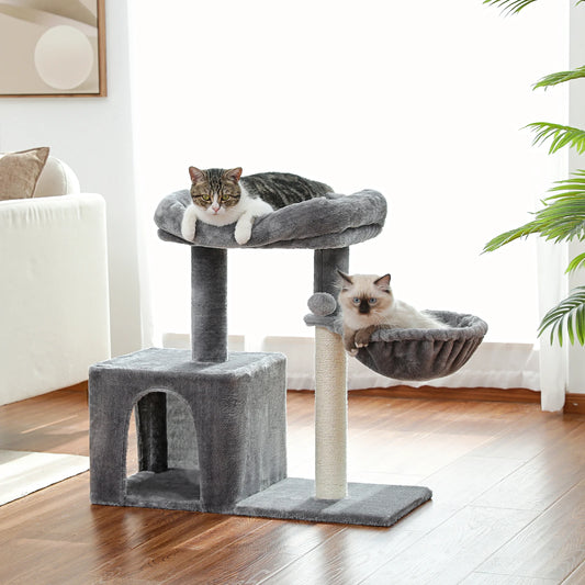 Petit arbre à chat