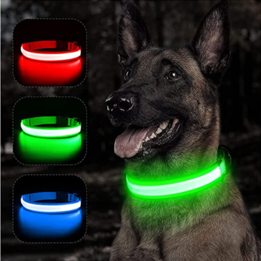 Collier Led