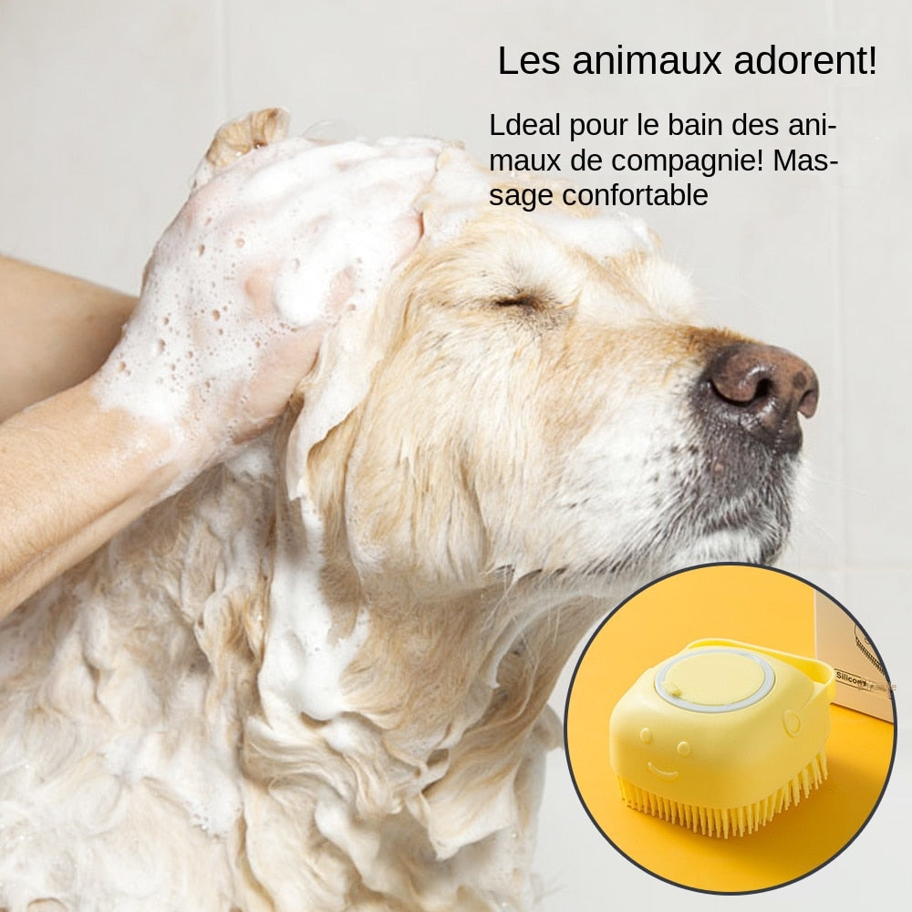 Brosse de bain