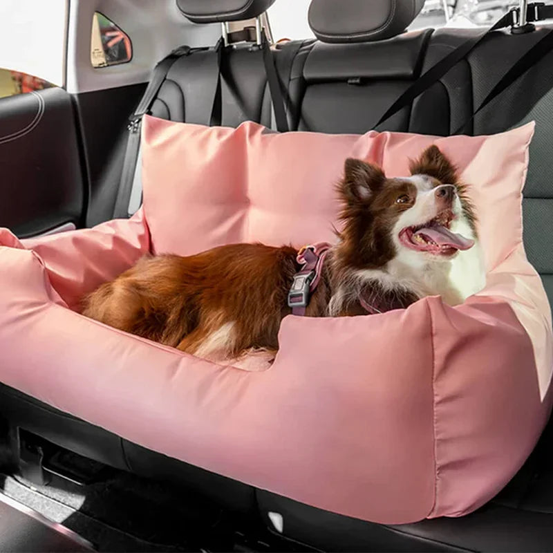 Car Sofa